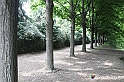 VBS_1676 - Castello di Miradolo - Mostra Oltre il giardino l'Abbecedario di paolo Pejrone